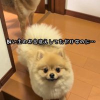 家にいるときは…