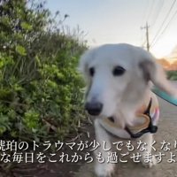 幸せな犬生を手に入れたね