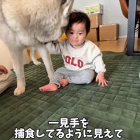 手を軽くカミカミすると…
