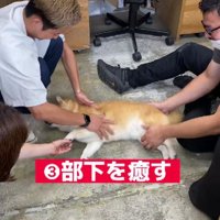 愛されているはちくんでした♡