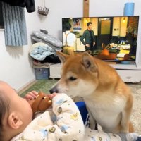 匂いをクンクン…