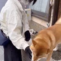 幸せいっぱいの時間