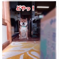 荷物が写っていないことも…