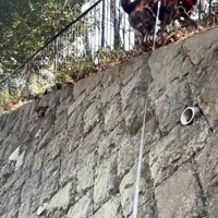 登り切ったトシくん