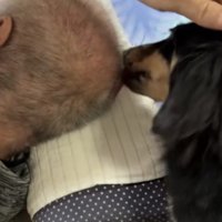 犬の頭をなでる祖父