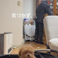 全然気が付かない！！