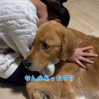 アルトくんと子どもたちの日常5