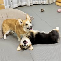 仲良し