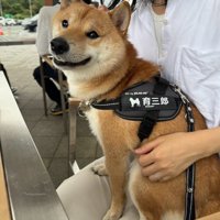 ニコニコ