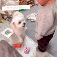 リリちゃんと赤ちゃん6