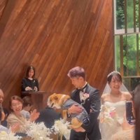 飼い主さんご夫婦に抱っこされて退場する中型犬