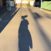 どんな格好？犬はどこ？