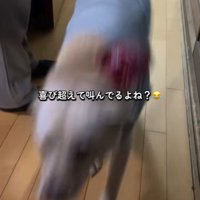 行ったり来たり…