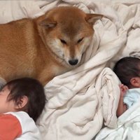 2人を見守ってくれています