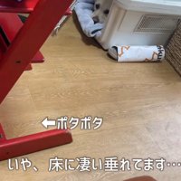 パパさんとママさんが気付いて爆笑
