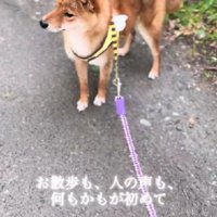 何もかもが初めて
