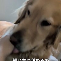 ナデナデされてたら…