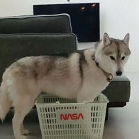 「どう？」