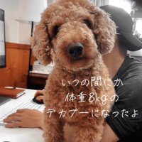 8キロになったラテくん