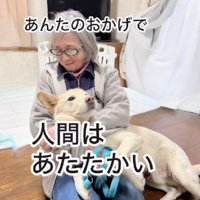 ナデナデもいい気持ち…