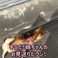 うっかり！