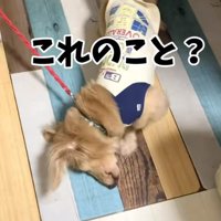 さらお君を病院に連れて行ったら8