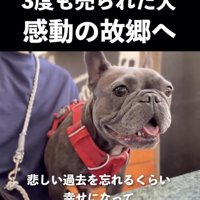 楽しそうな表情
