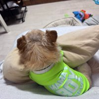 30分経ってもお散歩に行く気配ゼロ