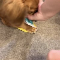 紙風船を取り返そうとする人