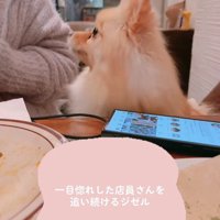 店員さんを呼ぼうとしてくれるお友達