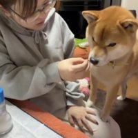 おやつをあげるフリ
