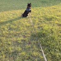 諦めきれない、この戦い