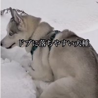雪道すらも落下！！