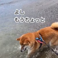 掘り続ける海くん