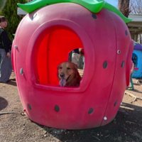 この乗り物は楽しい♡