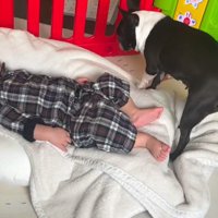 一歩進んでは止まり…