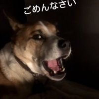 鳴くように謝るサナくん