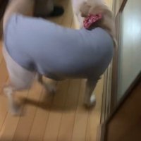 大はしゃぎ！