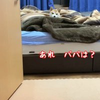 パパさんがトイレに行ったら…