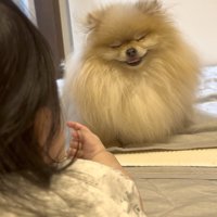 ニコニコ