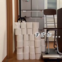大河くんのトイレットペーパーチャレンジ8