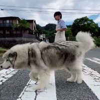 頼もしい姿に感嘆！！