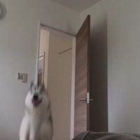 「ママ、楽しかったよ～！」