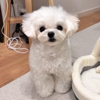 よく