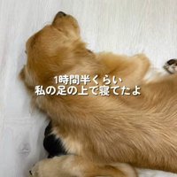 ずっと寄り添っていた