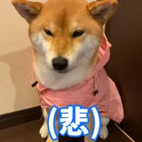 「やっぱり行けないのか…」
