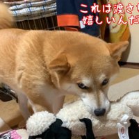 睨みながらしっぽをフリフリ♪