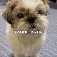 元気な毎日に感謝
