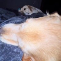 「ママ帰ってきてよかった」