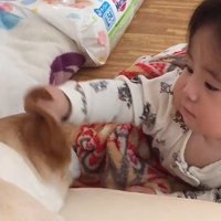 いたずらも成長のひとつ！